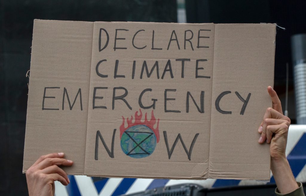 JOIN TOFTIGERS IN DECLARING A CLIMATE EMERGENCY WITH YOUR BUSINESS